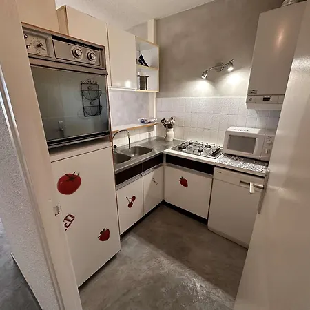2 Pieces Avec Terrasse, Parking Prive - Fr-1-731-90 Le Grau-du-Roi