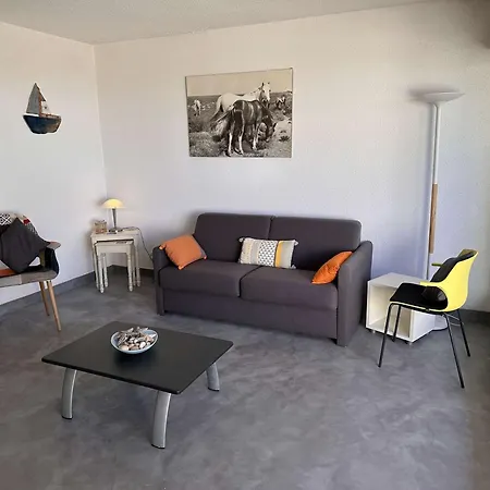 2 Pieces Avec Terrasse, Parking Prive - Fr-1-731-90 Le Grau-du-Roi
